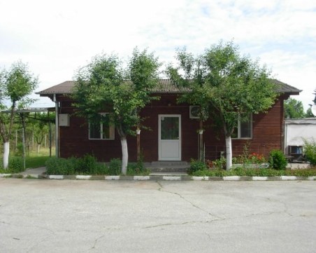 Кой ме иска! Кучетата от приюта в Пловдив очакват своя осиновител СНИМКИ