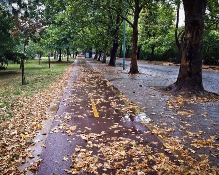 Облачно и хладно днес в Пловдив, утре - дъжд