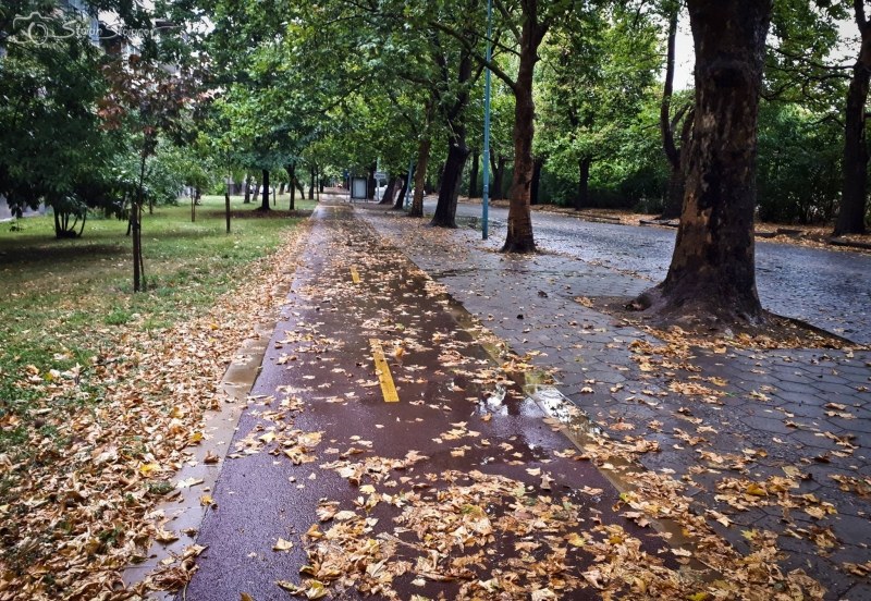 Облачно и хладно днес в Пловдив, утре - дъжд