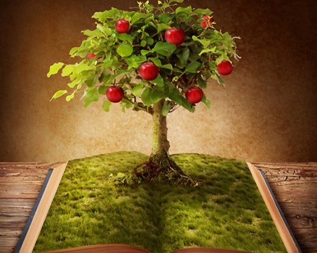 Четенето на книги е храна и фитнес за мозъка