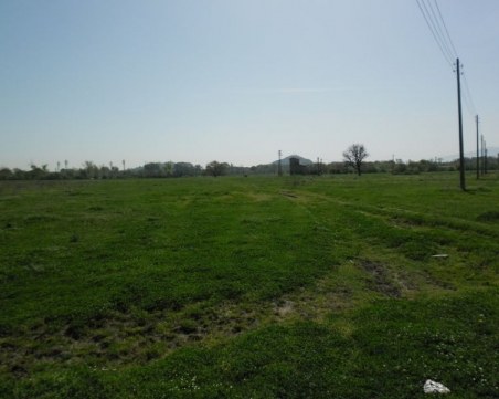 Продават на търг част от парка до Гребната база СНИМКИ