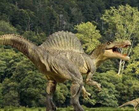 Случайност затрила динозаврите на Земята