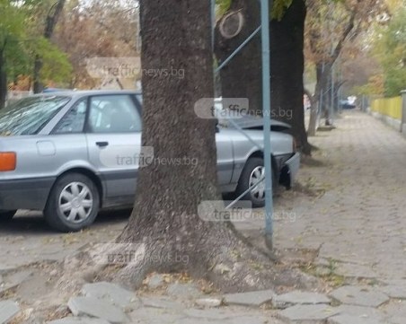 Ауди се заби в дърво на метри от детска градина в Кършияка СНИМКА