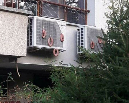 Само в България може да се види подобно нещо СНИМКА