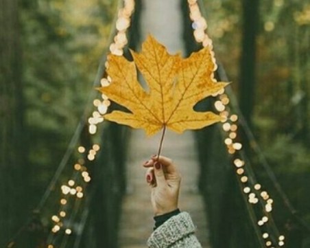 Седмичен хороскоп за 13-19 ноември