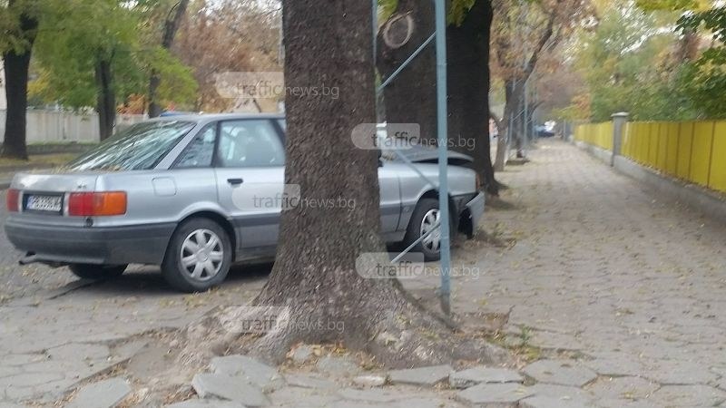 Ауди се заби в дърво на метри от детска градина в Кършияка СНИМКА