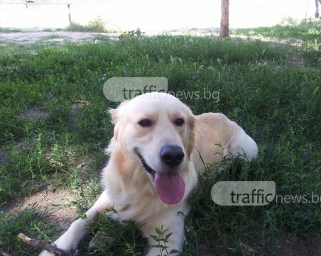 Погнаха над 200 души в Кършияка, не са си плащали 