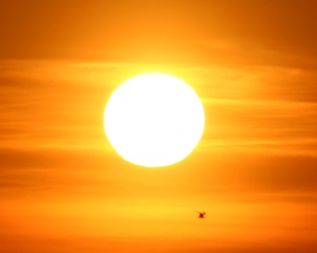 Рядко явление - петната по Слънцето изчезнаха