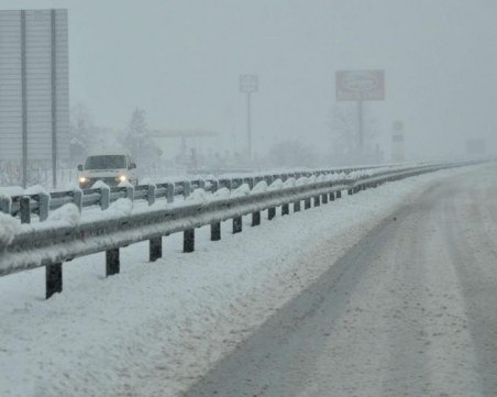 Борят природните стихии с кипариси по магистралата