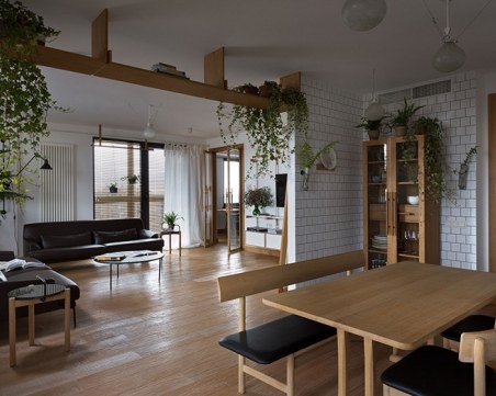 Най-добрият аксесоар за всеки дом - растението! Ето кои са най-подходящи за апартамент СНИМКИ