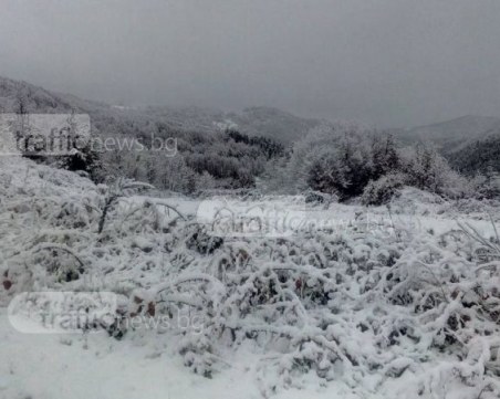 Родопите побеляха, снежната покривка е над 8 сантиметра СНИМКИ