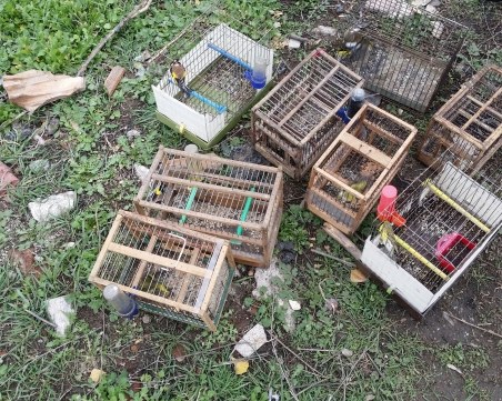 Акция в Столипиново! Спасиха 13 защитени вида диви пойни птици