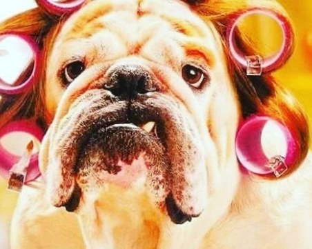 Най-откачените знаци от хороскопа