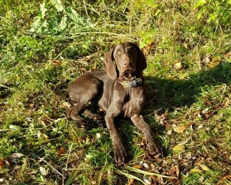 Ели е изчезнала край Пловдив! Помогнете да я открием СНИМКИ