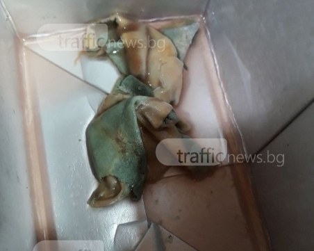 Пълен гнус: Пловдивчанин намери мухлясъл 