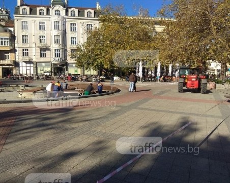 Вдигат 13-метровата коледна елха в центъра днес