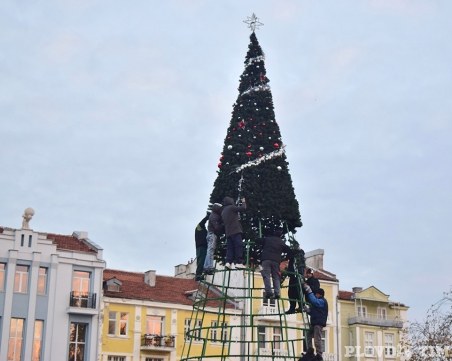 Здрави приготовления за Коледата в Пловдив! Цяла бригада украсява новата елха СНИМКИ