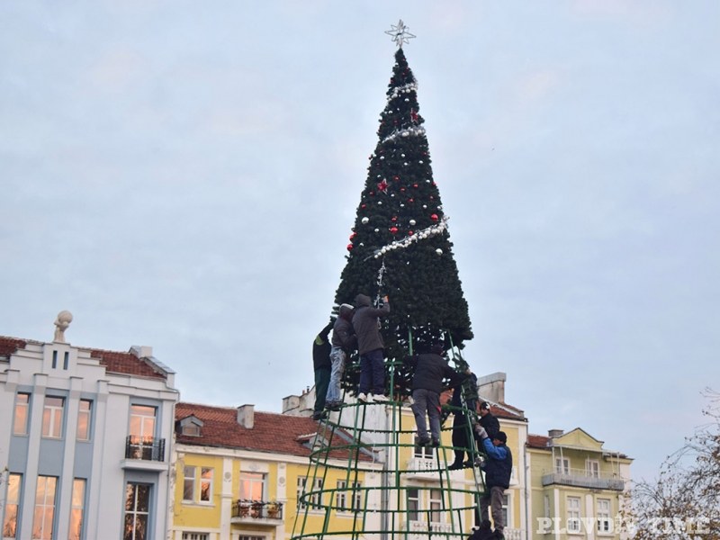 Здрави приготовления за Коледата в Пловдив! Цяла бригада украсява новата елха СНИМКИ