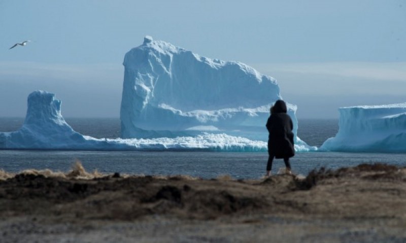 Голям айсберг се откъсна от ледника Грей СНИМКИ