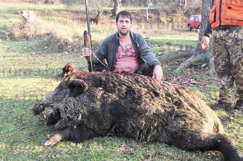 Опитен ловджия повали с един изстрел 330 килограмов звяр