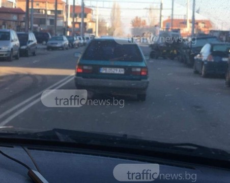 Безмилостен шофьор блъсна куче в Изгрев и избяга, животинчето бере душа СНИМКА