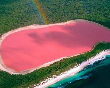 Мистерията около невероятното розово езеро Хилиър