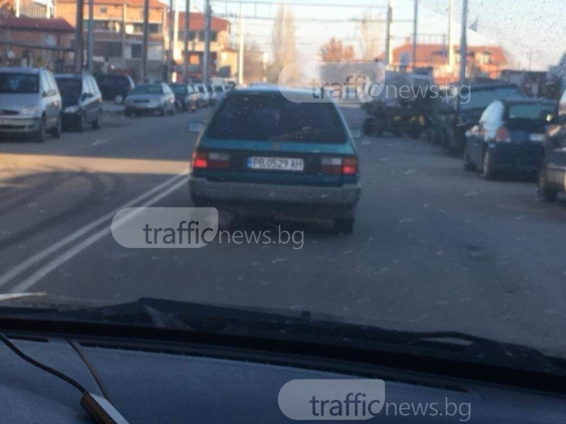 Безмилостен шофьор блъсна куче в Изгрев и избяга, животинчето бере душа СНИМКА