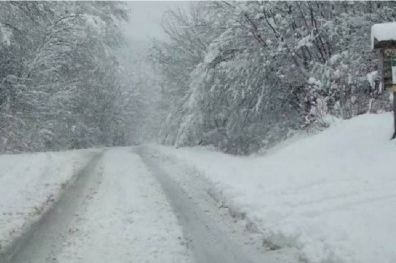 Внимавайте, шофьори! Ураганен вятър затвори Троянския проход
