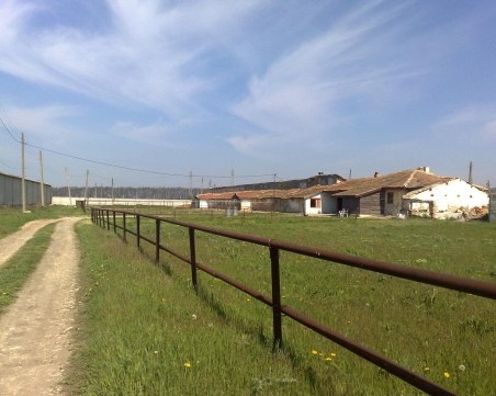 12-годишен обра кипърски фермер в Болярино