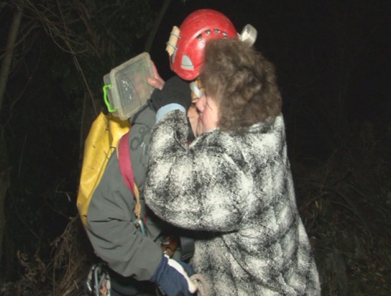 Пещерняци спасиха хъски, паднало в дълбока пропаст
