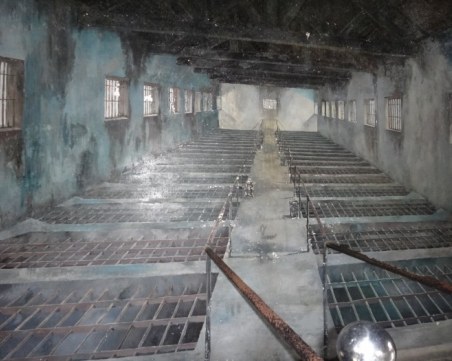 Млади българи са изтезавани в затвор във Виетнам ВИДЕО