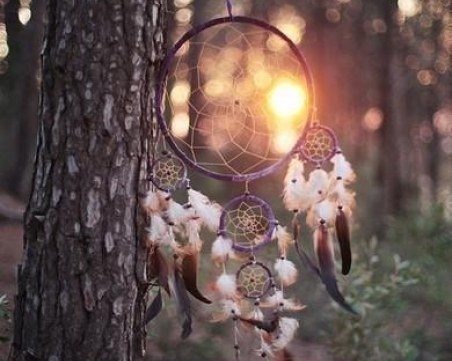 Как да държите сънищата си под контрол?