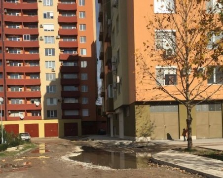 Обитателите на Гербера “плават“ през локва към новите си домове