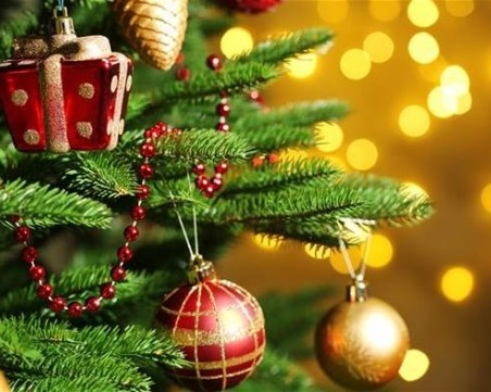 Палят коледна елха в Кършияка днес