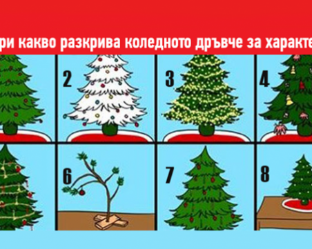 Избере си коледно дръвче и вижте какво ще разкрие тя за характера ви