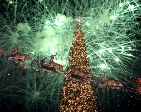 Тракия грейва! Коледният дух идва със запалване на елхата пред Форума