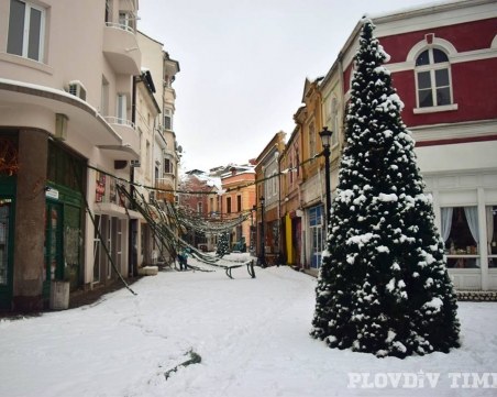 Каква зима ни очаква? Вижте прогнозата до февруари