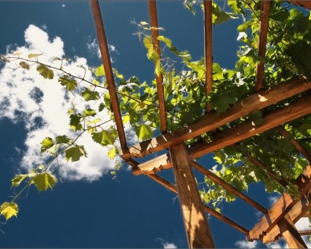 Цяло село се продава на търг с начална цена - 125 хиляди евро