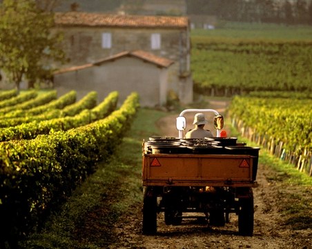 Топ местности с винен туризъм край Пловдив СНИМКИ