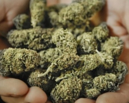 Спипаха 18-годишен дилър на трева в Тракия