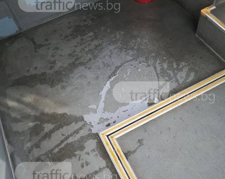Пловдивски автобус: Мръсна вода е заляла пода, а парцали преграждат седалки СНИМКИ