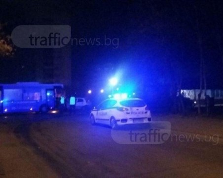 Ауди Q7 и опел се помляха в Пловдивско, за да спасят куче