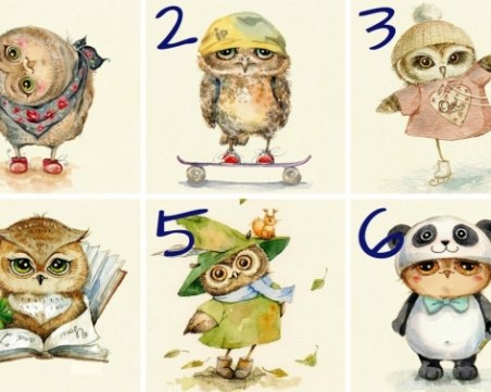 Изберете си бухал и разберете повече за вашата природа