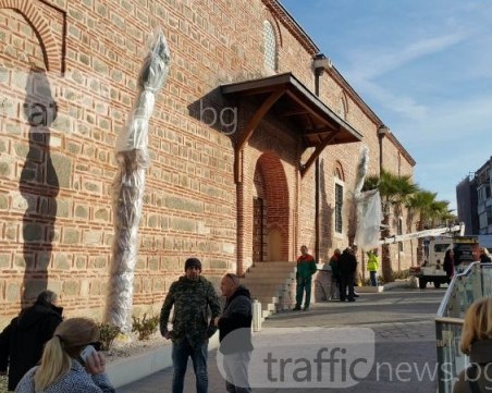 Палмите в центъра на Пловдив облякоха “зимни палта“ СНИМКИ