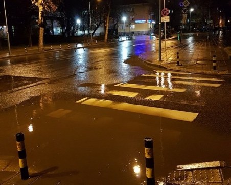 Искате да пресечете? Може, с плавници и шнорхел