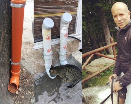 Браво! Димитър направи автоматична хранилка за бездомни животни в Пловдив СНИМКИ