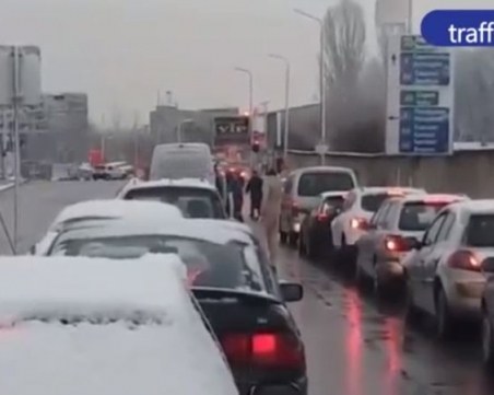 Нова агресия на пътя в Пловдив! Двама тръгнаха да бият водач на бус, шофьори ги озаптяват ВИДЕО