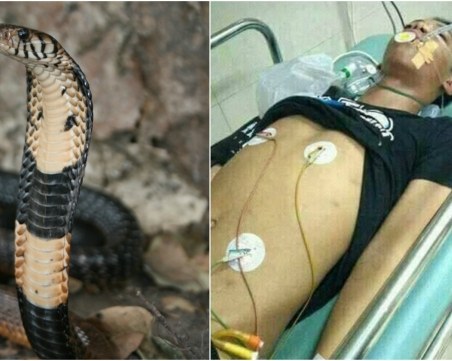 14-годишно момче почина при ухапване от домашния му любимец