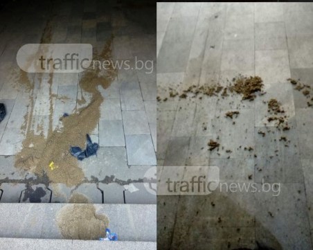 Да опесъчиш подлез по български... В кой век живеем, пловдивчани?! СНИМКИ