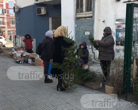 Дрянови клончета и сурвачки завладяха Четвъртък пазара СНИМКИ